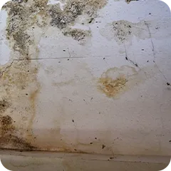 天井に雨水が沁みてシミができている