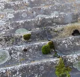 劣化している波板屋根