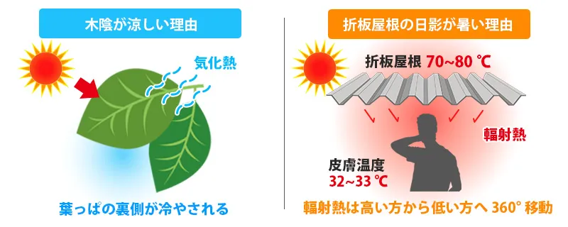 木陰が涼しく、折板屋根の日陰が熱い理由を説明したイラスト